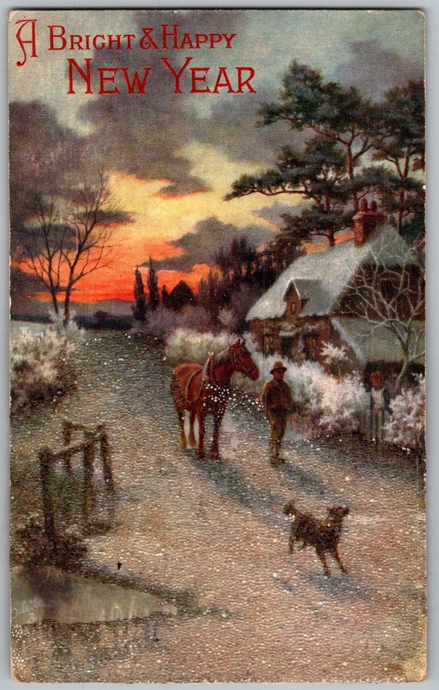 Antique Postcard Raphael Tuck Oilette New 1900s