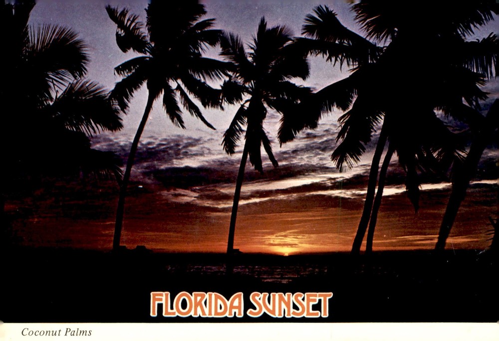 Florida Sunset in Fort Myers, 1980 Postcard