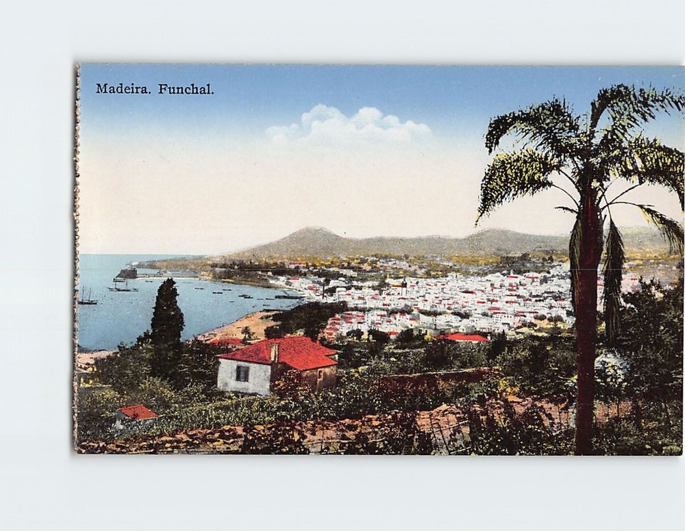 Postcard Madeira Funchal Portugal