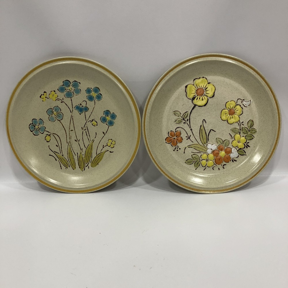 2 Hearthside Garden Festival Stoneware Dinner Plates Sunshine/Highland Flowers