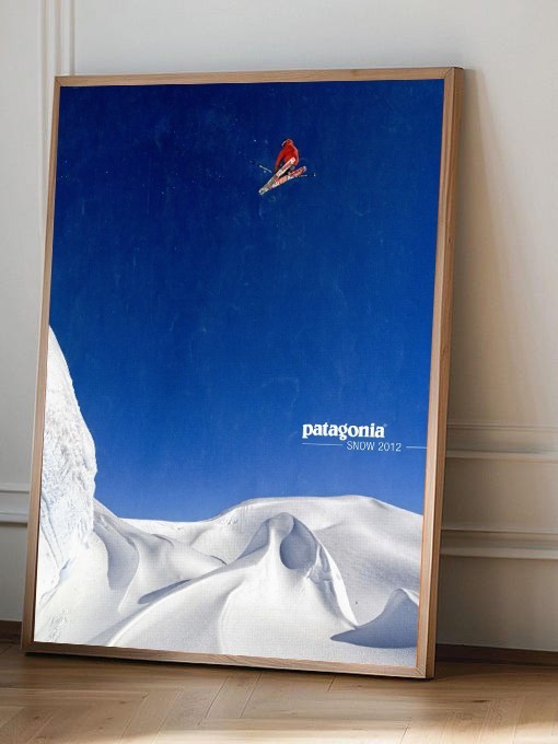 Patagonia Snow 2012 Extreme Ski Minimalist Poster