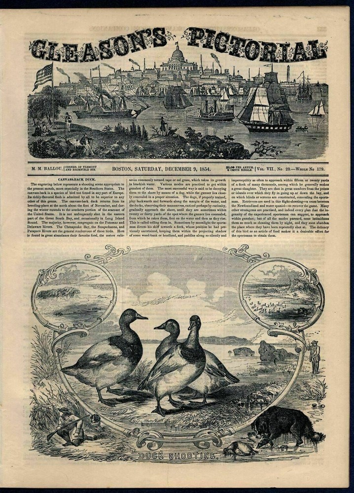 DUCK HUNTING SHOOTING WATERFOWL NEWFOUNDLAND WATER SPANIEL DOG RETRIEVES DUCK