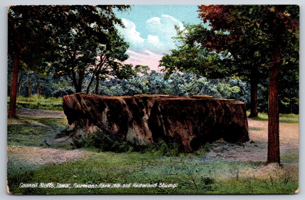 Council Bluffs Iowa~Fairmont Park Old Redwood Stump~Vintage Postcard