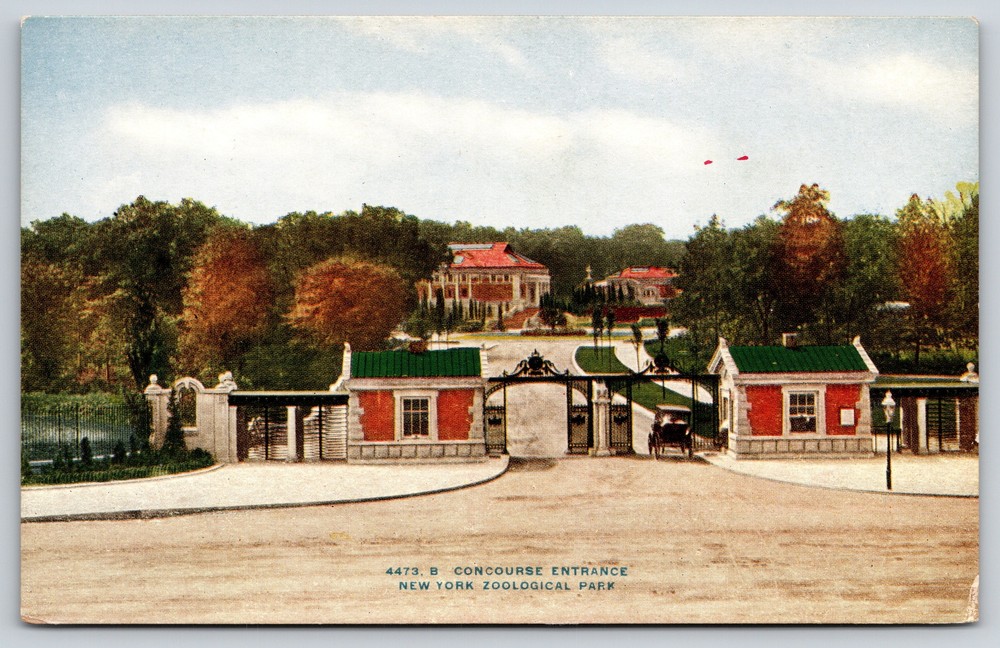 New York City NYZP Zoo~Air View Concourse Entrance~Vintage Postcard