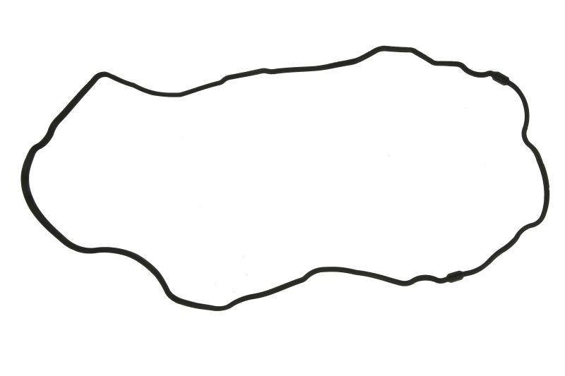 Oil Crankcase Gasket for FORD MAVERICK, MONDEO III; FORD USA ESCAPE