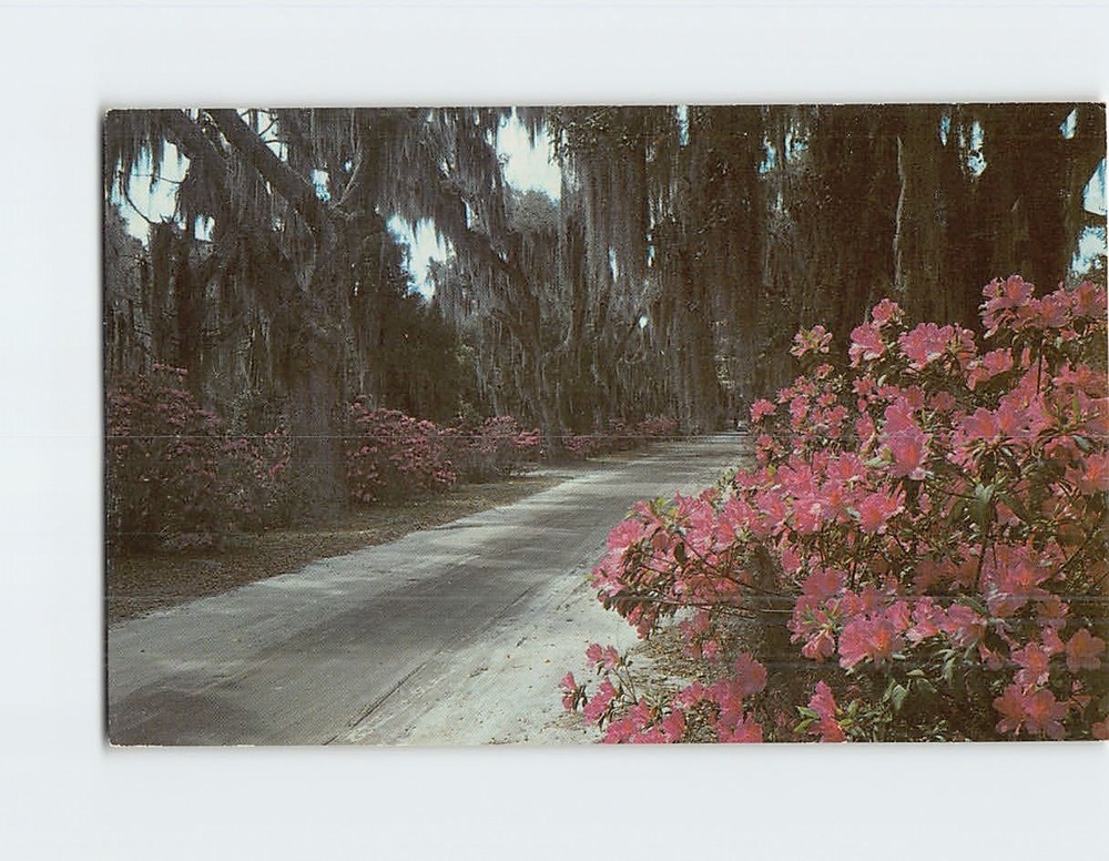 Postcard Bonaventure Savannah Georgia USA