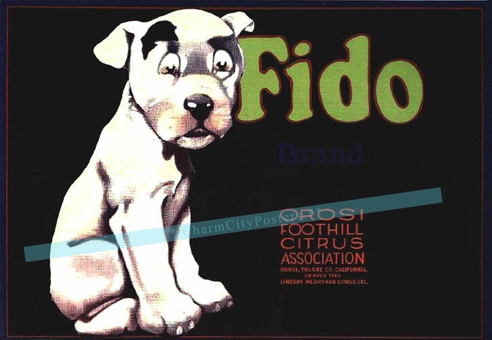 Fido Dog 1930's Lemon Label Tulare California Retro Style Vintage Poster Print