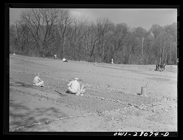 Photo:Washington D.C. 1943 Victory Gardening Northwest Section Workers