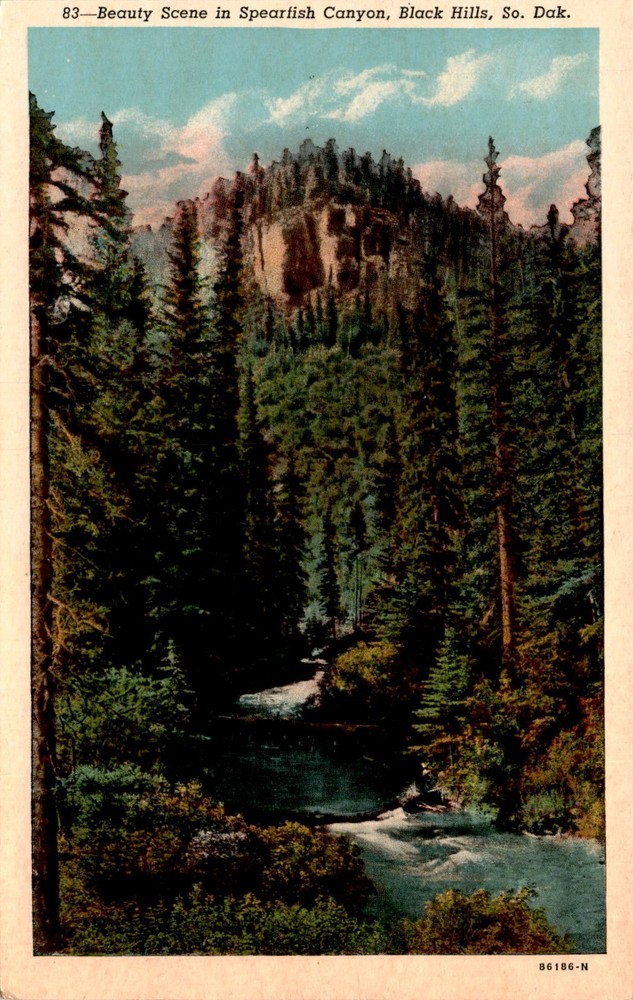 Spearfish Canyon, Black Hills, So. Dak, Deadwood, Lead, Bridal Ve Postcard