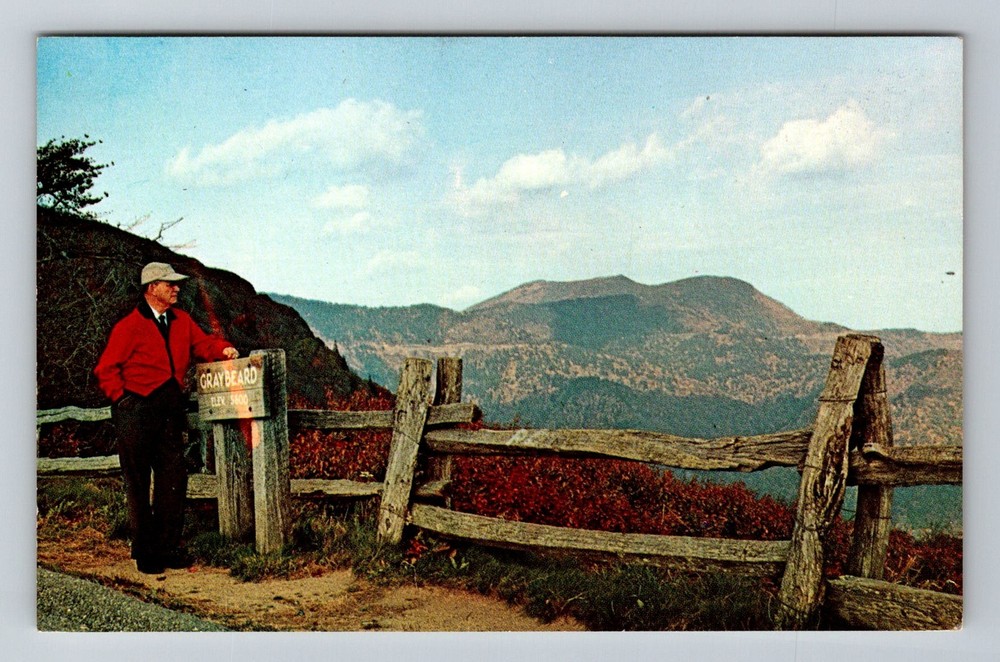 Asheville, NC-North Carolina, Blue Ridge Parkway Graybeard Vintage Postcard