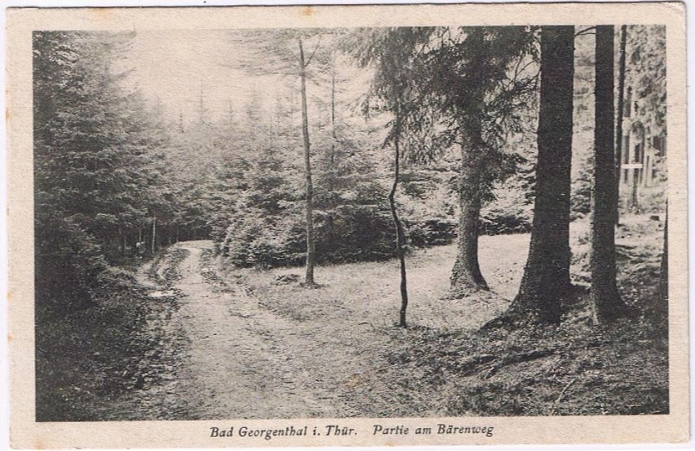 Germany Postcard RPPC Bad Georgenthal I Thuringer Partie am Berenwig