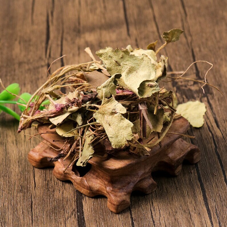 Organic Herbal Saxifraga Stolonifera Herbal Saxifragae Healthy Tea