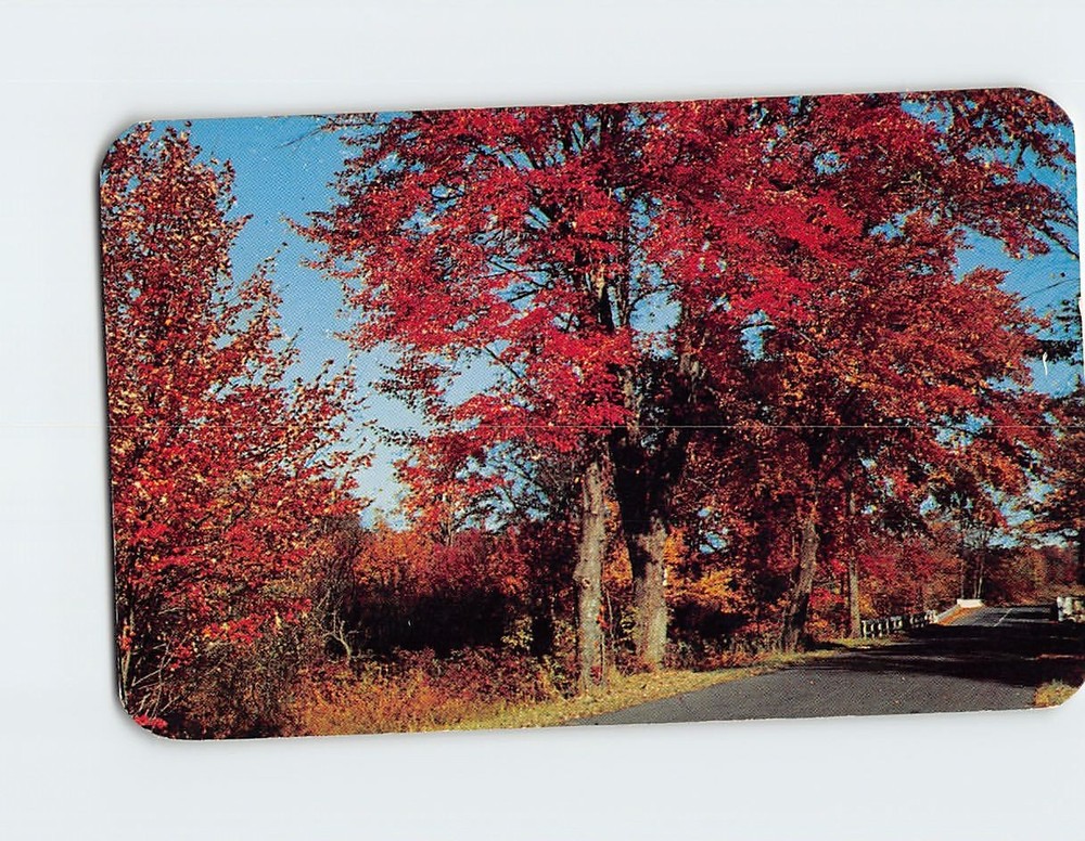 Postcard Along the Brandywine Creek in Delaware USA