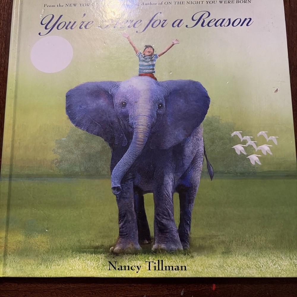You're Here for a Reason ~ Hardcover Book ~ By Nancy Tillman