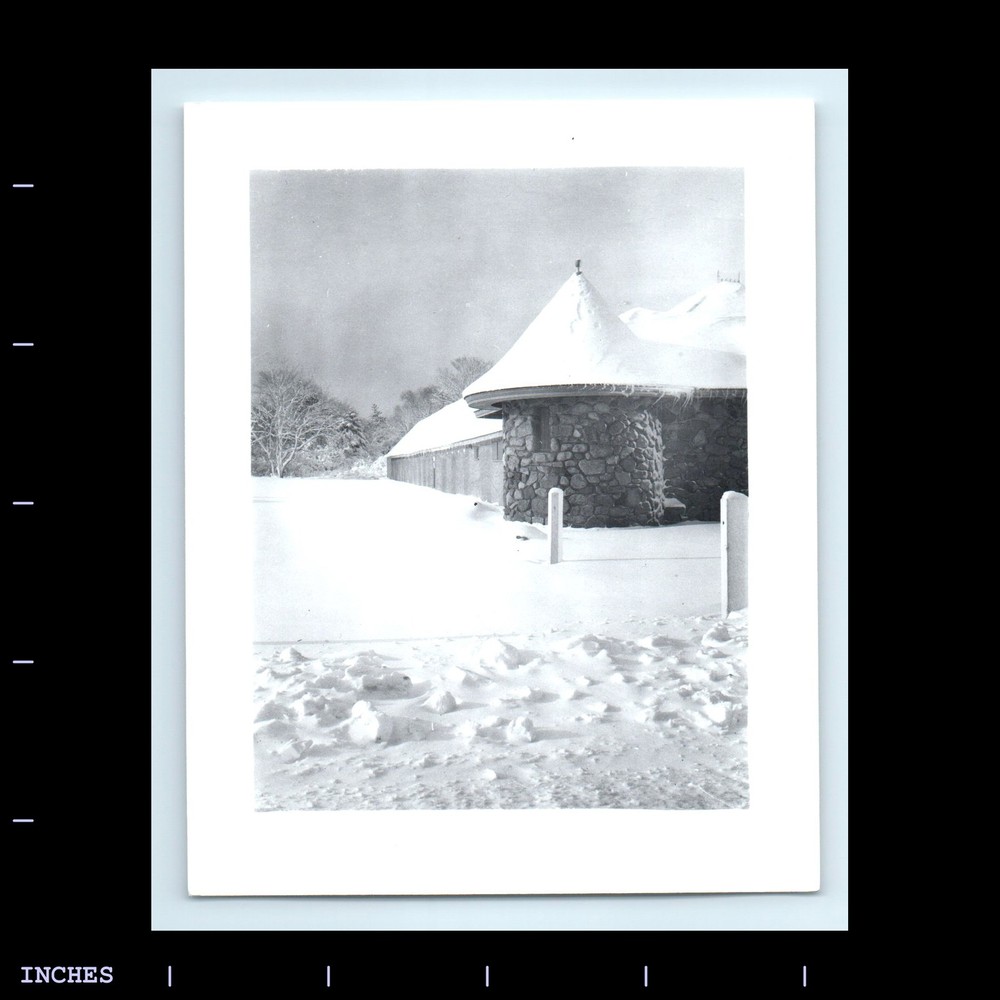 Old Vintage Photo SNOW WINTER SCENE HOUSE AND TREES