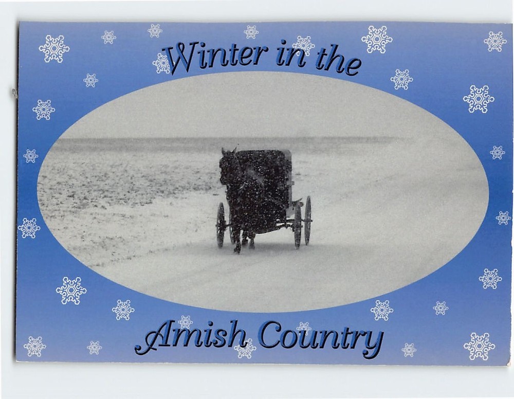 Postcard Winter In Amish Country Pennsylvania USA