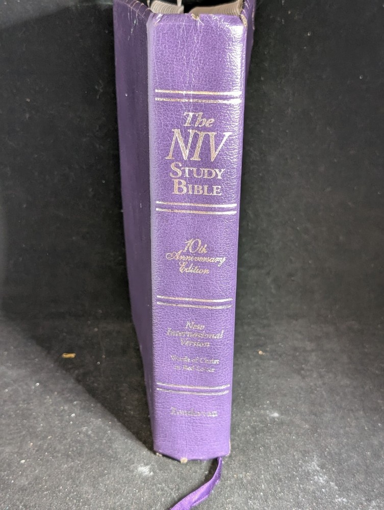 NIV Study BIBLE 1995 ZONDERVAN 10th Anniversary Red Letter/Purple bonded leather