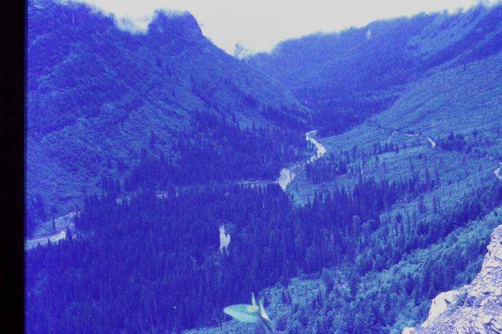 c1960's 35mm Slide Film Mountain Valley River Forest Road Landscape Stream Path