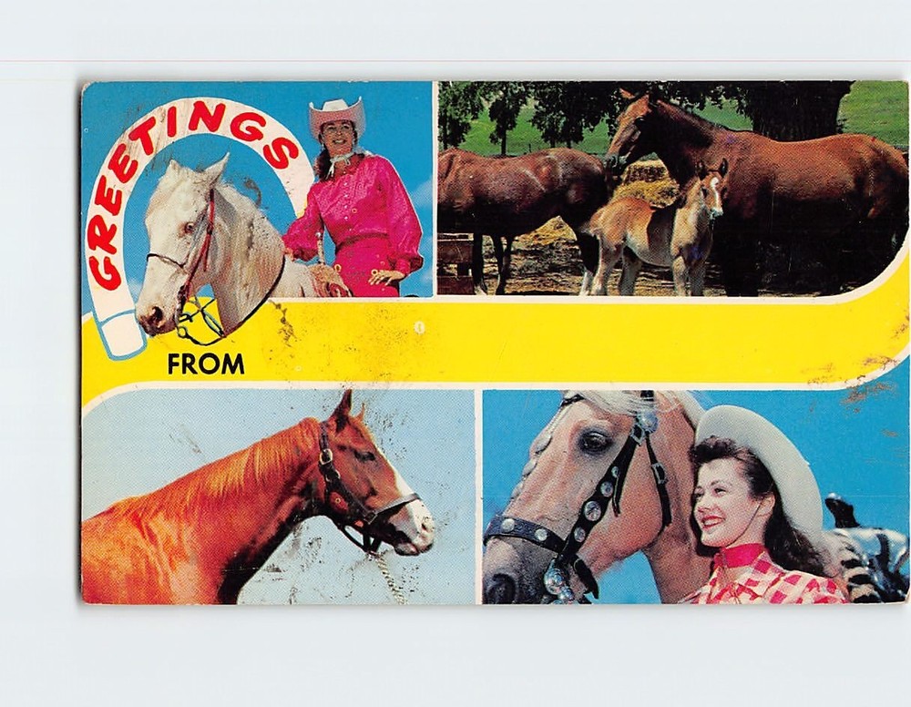 Postcard Greetings From USA