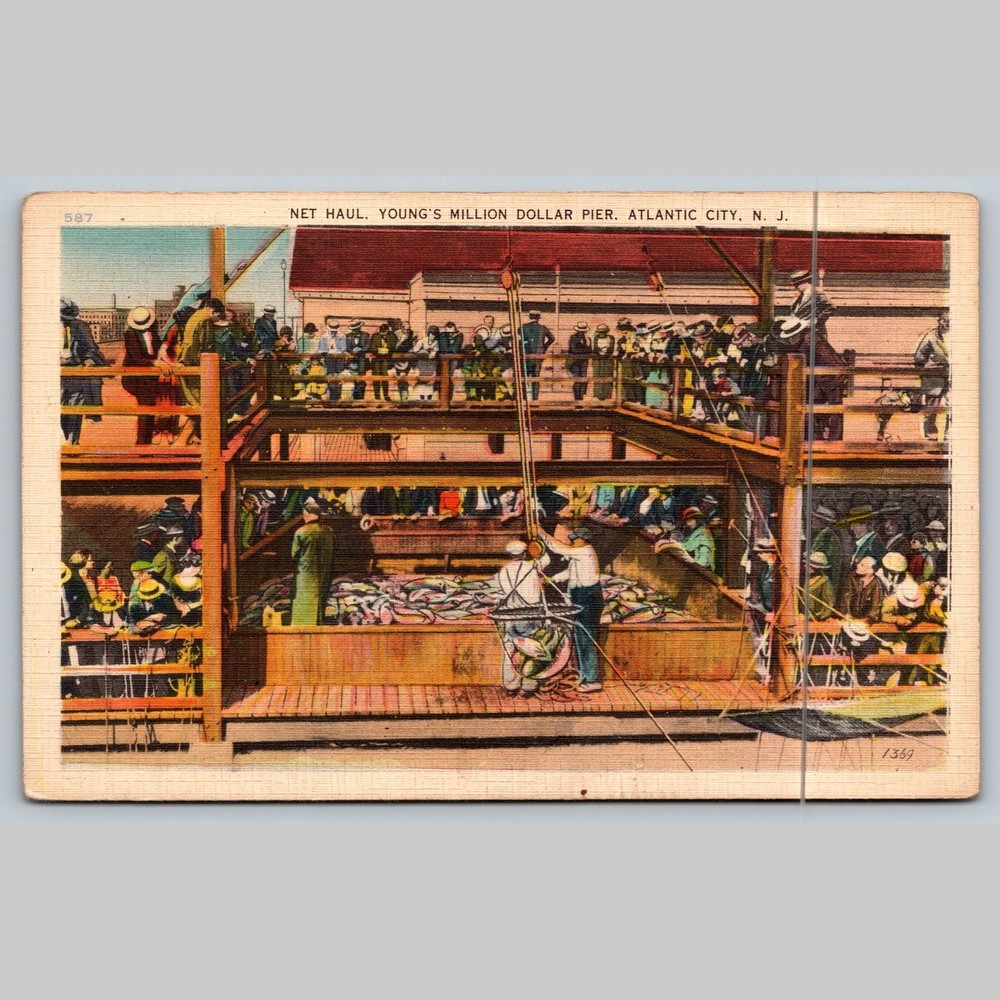 Postcard Net Haul Young's Million Dollar Pier Atlantic City NJ
