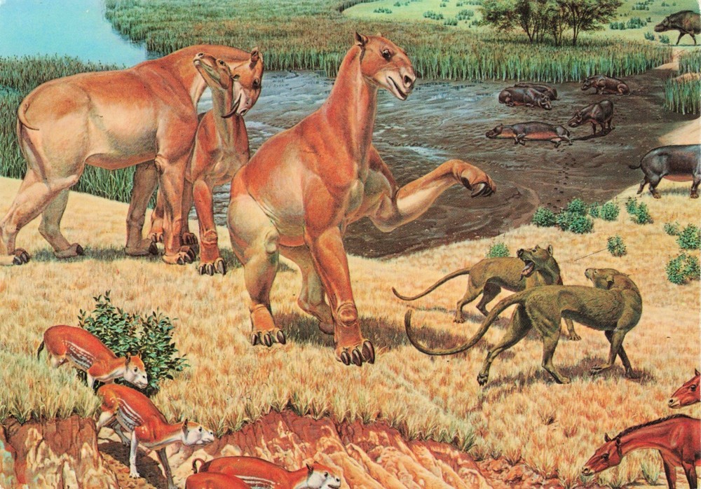 Extinct Animals by Jay Matternes Vintage Continental Art Postcard Unposted