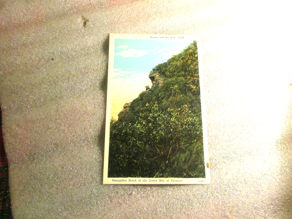 Smugglers Notch In The Green Mts. Of Vermont-Hunter And His Dog Postcard 25% Off