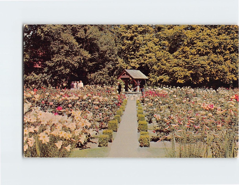 Postcard The Wishing Well At Point Defiance Park Tacoma Washington USA