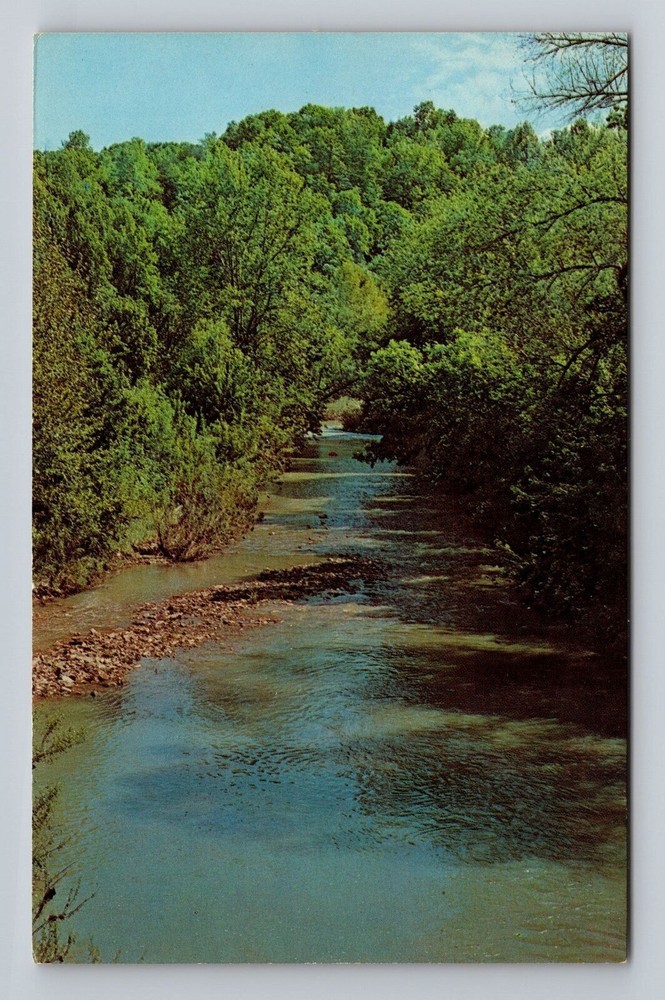 Kentucky KY Olive Hill Carter Caves State Park Tygart Creek Vintage Postcard