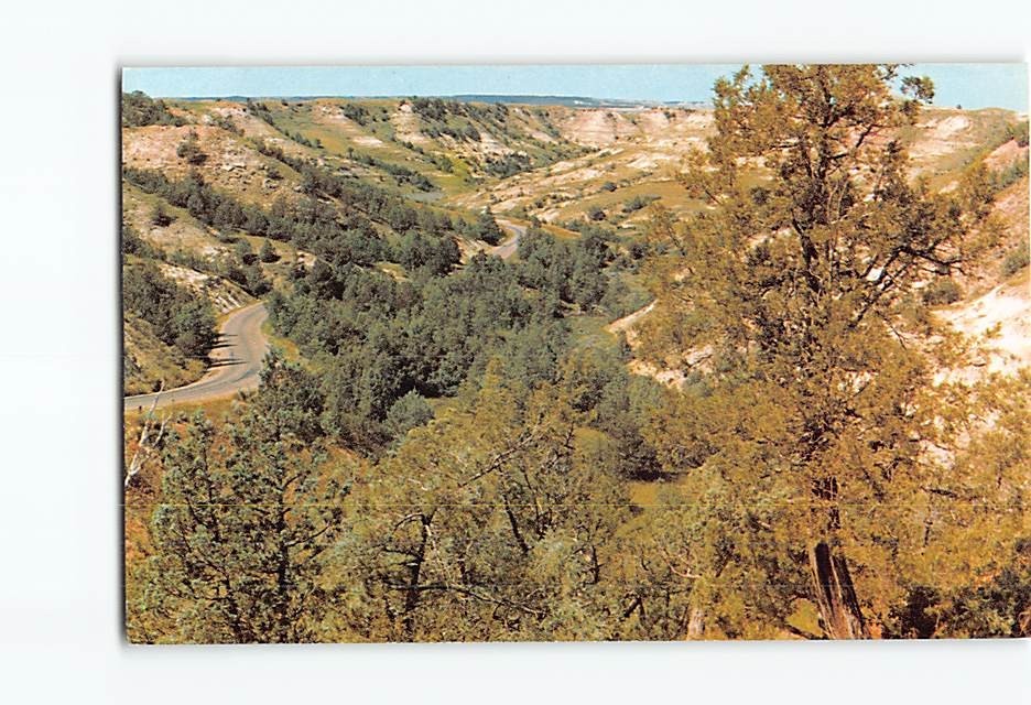 Postcard Scenic Highway Theodore Roosevelt National Park North Dakota USA
