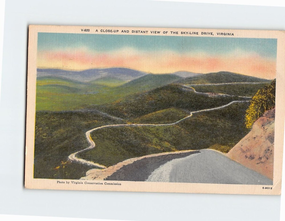 Postcard Close-Up & Distant View of Skyline Drive Virginia USA
