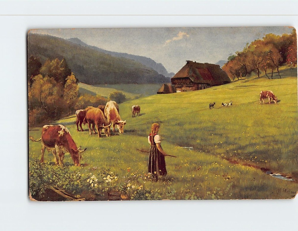 Postcard Cows Grazing Farm Scene