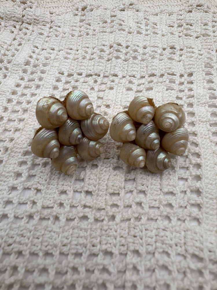 Vintage Trochus Seashell Screw On Earrings