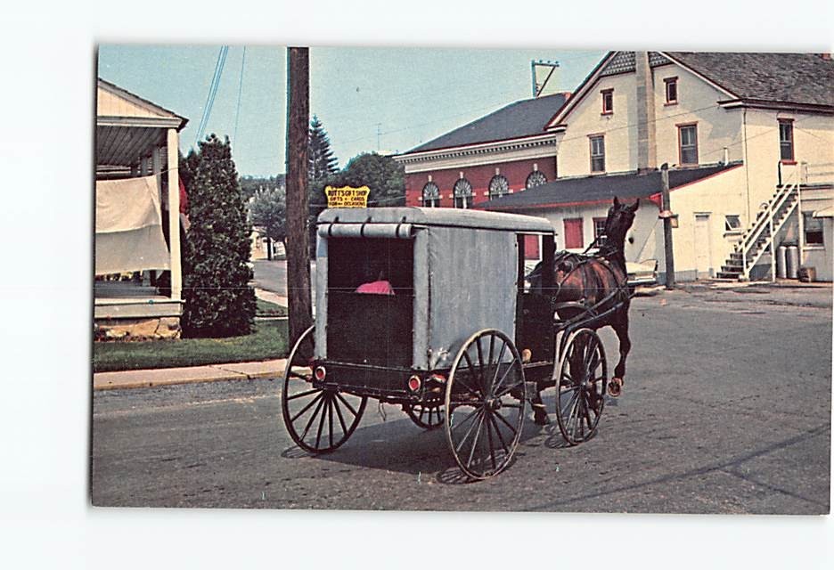 Postcard Amish Family Carriage Pennsylvania USA