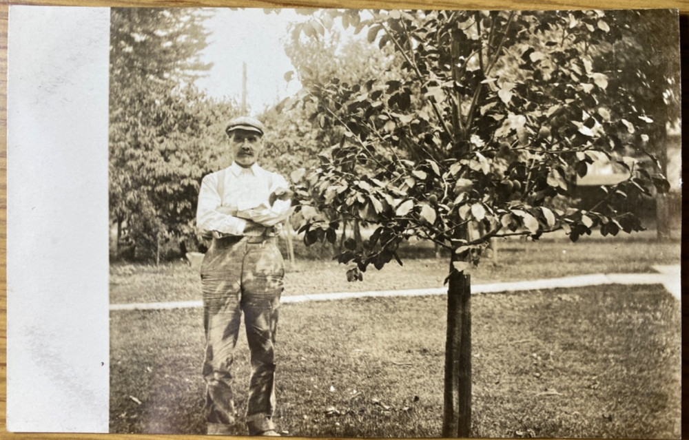 1910s RPPC - LIVERPOOL, NEW YORK antique real photo postcard MAN BY FRUIT TREE