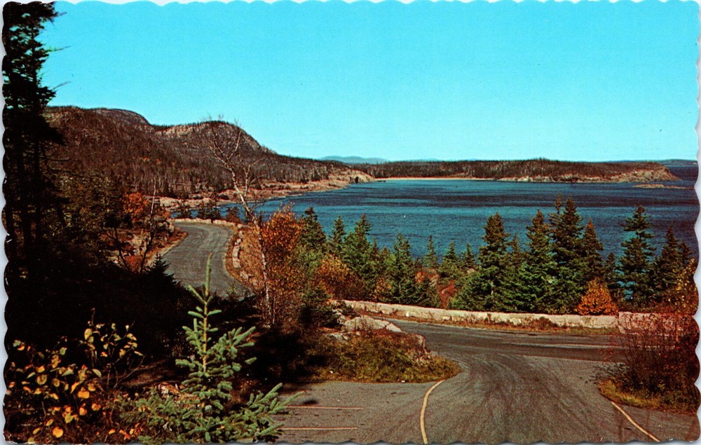 Postcard ME Acadia National Park Ocean Drive Otter From Cliffs Mt. Desert Island-image