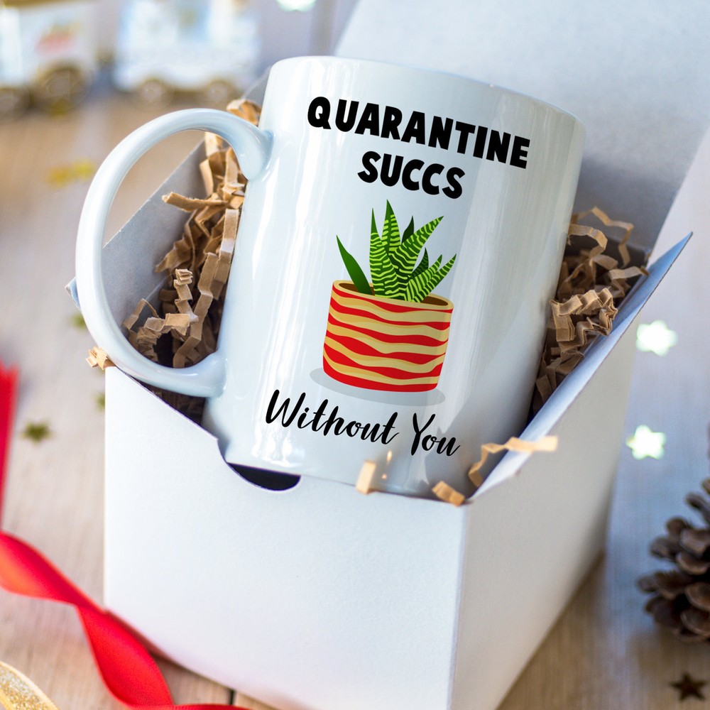 Quarantine Succulent Mug Social Distance Get Well Sympathy Gift Hug In A Cup
