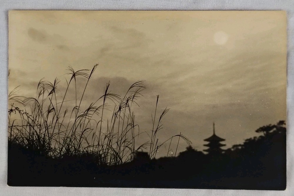 Moonlit Pagoda Nara Japan Vintage Japanese Postcard