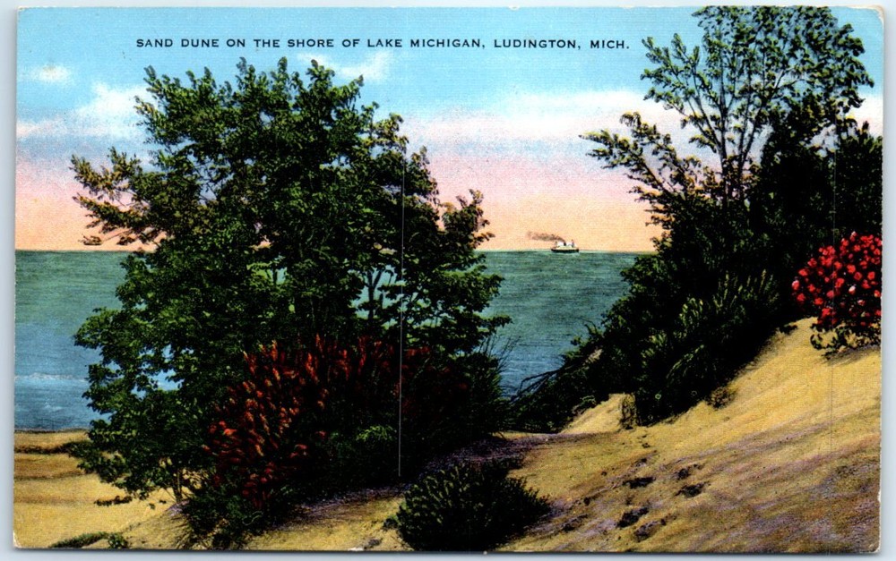 Postcard - Sand Dune on the Shore of Lake Michigan, Ludington, Michigan, USA
