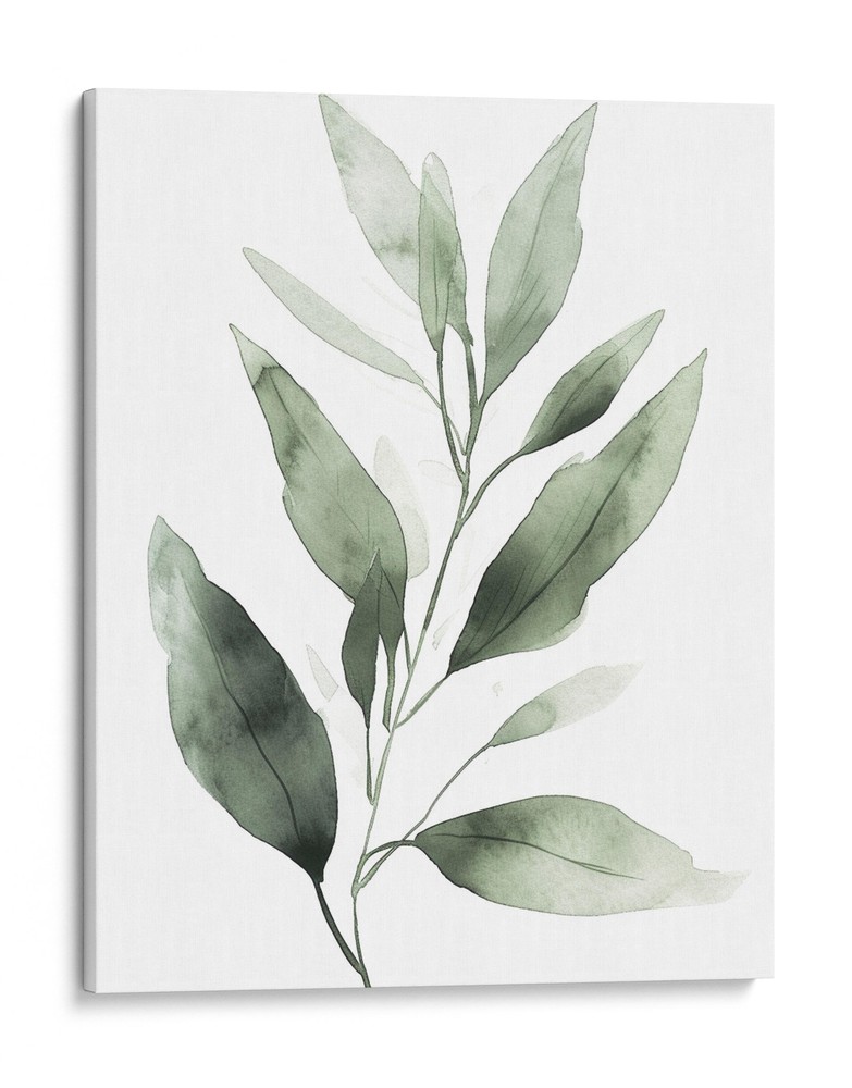 Botanical Modern Art Canvas Print, Minimalist Leaf Home Decor