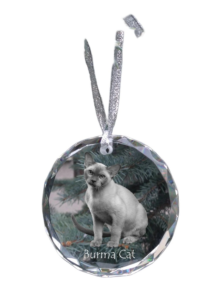 Birmese Cat - Crystal Ball With Photo, Cat Photo In Crystal, Personalized
