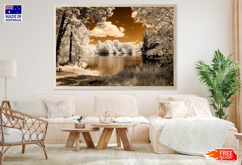 (Laminated) Forest Vintage Photograph 91x61cm