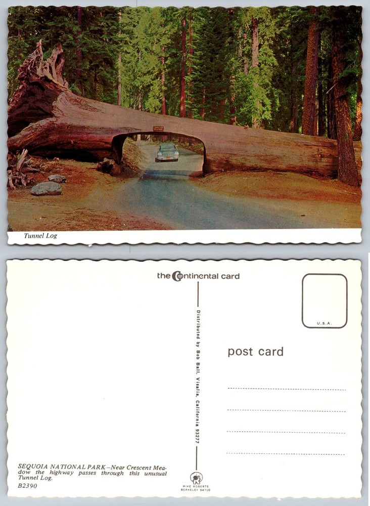 Vintage Sequoia National Park Tunnel Log Postcard California Car Roadway Chrome