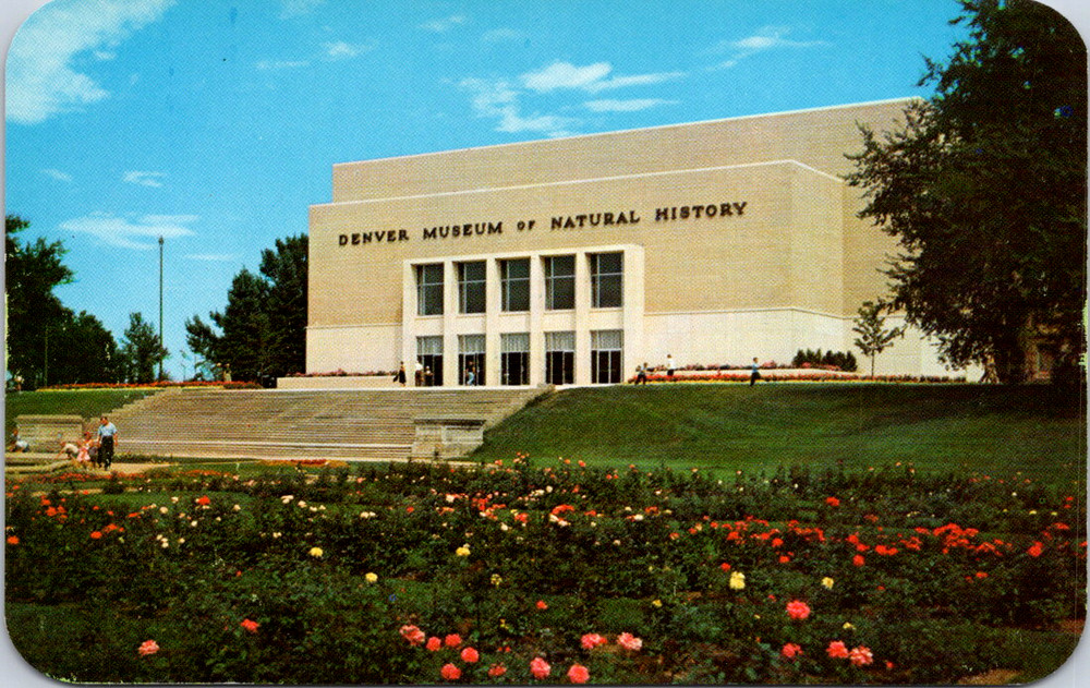 Vintage Postcard Denver Museum Natural History City Park Colorado
