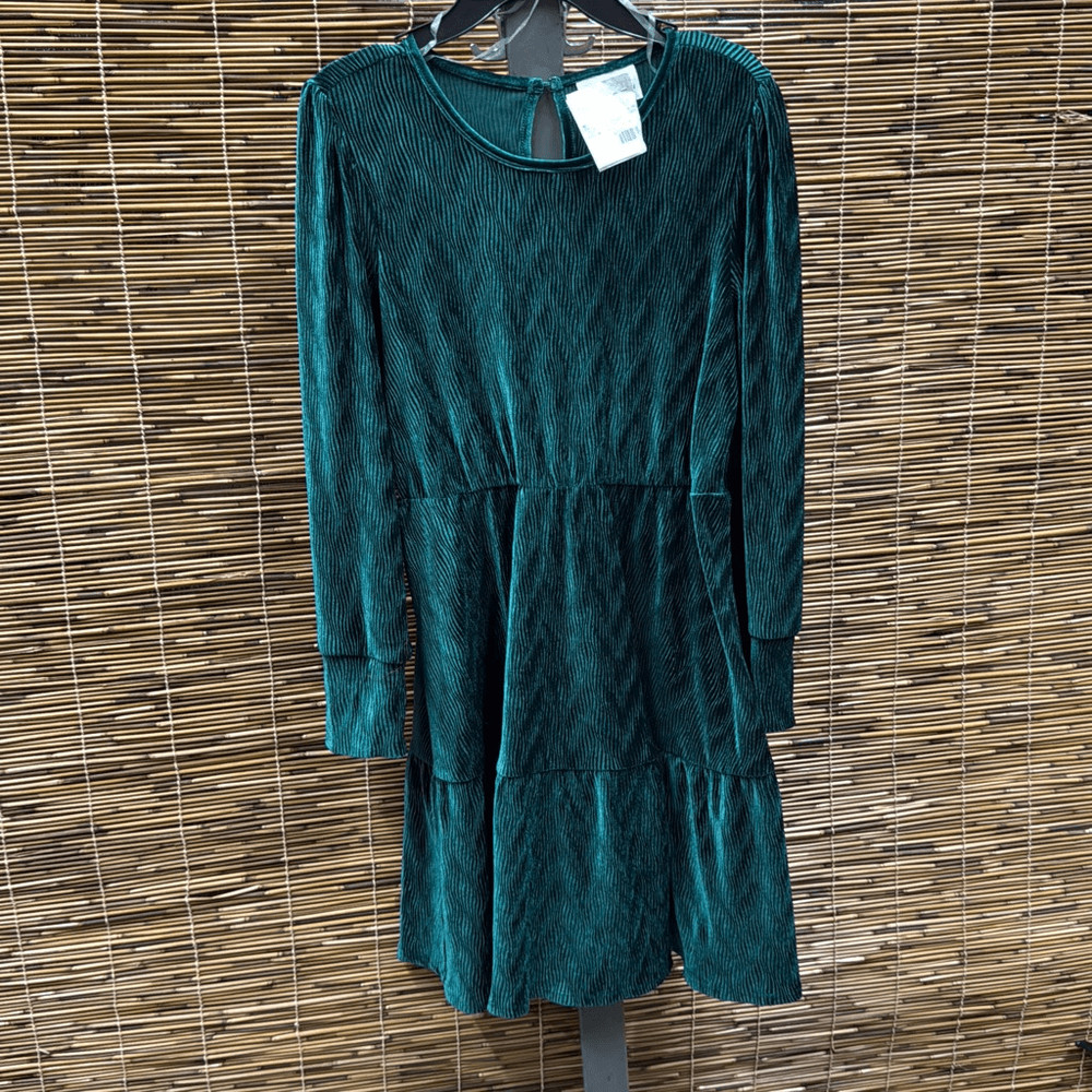 Rare Editions Big Girls Long Sleeve Textured Velvet Dress - Hunter Size 16