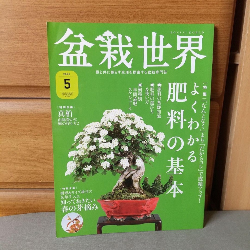 Bonsai World May 2021 Issue Japanese Magazine  Minor Wear