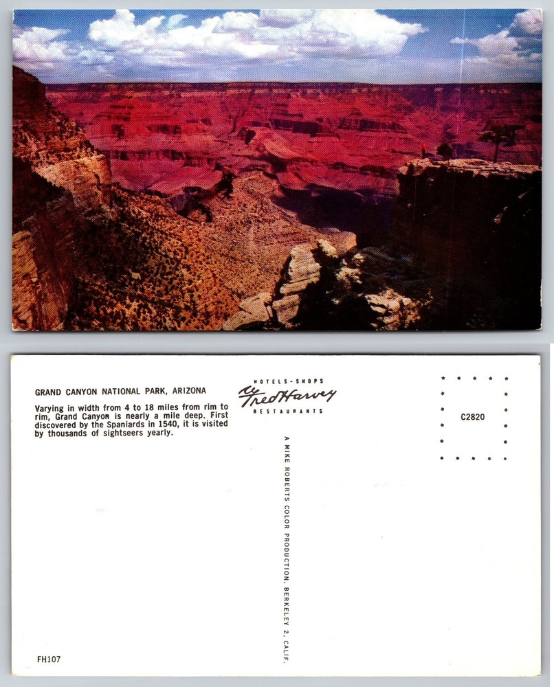 Grand Canyon National Park Arizona Chrome Postcard Mike Roberts Fred Harvey