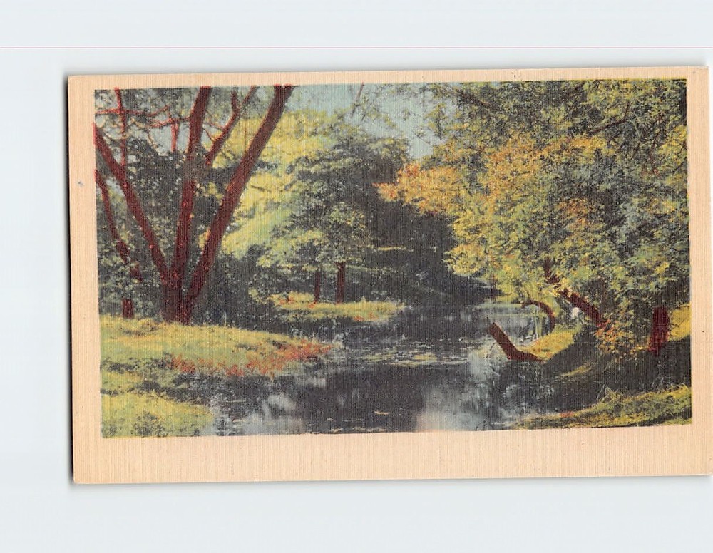 Postcard River Nature Scene