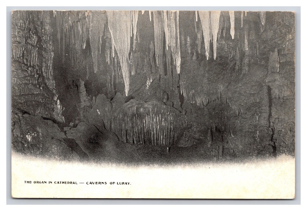 Vintage Early 1900s The Organ In Cathedral Caverns Of Luray Virginia Postcard