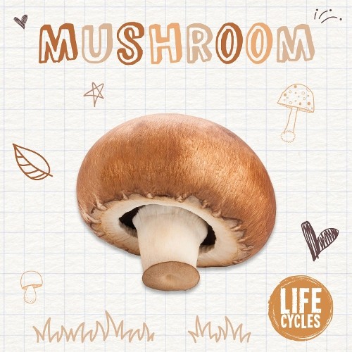 Brenda McHale Mushroom (Paperback) Life CyclesAnother great item from Rarewaves USA | Free delivery!