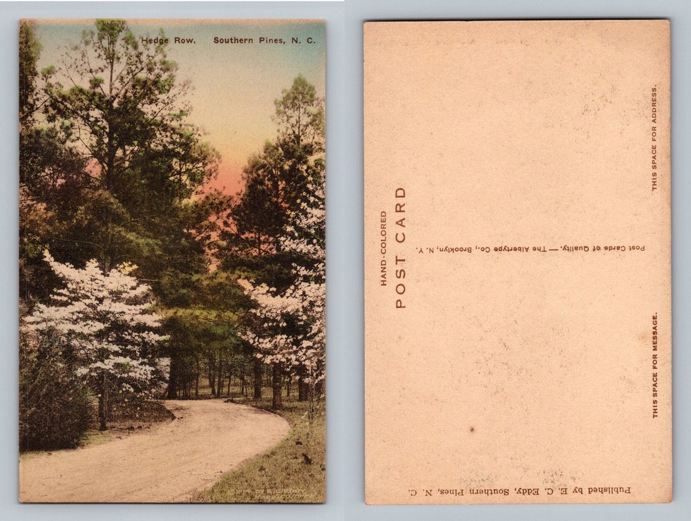 Southern Pines, NC-North Carolina, Hedge Row Path Trees Vintage Postcard